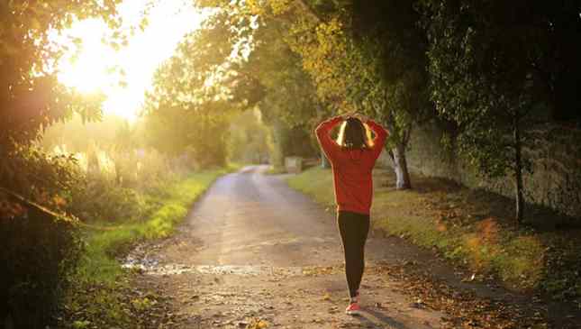 Exercícios físicos também beneficiam o cérebro