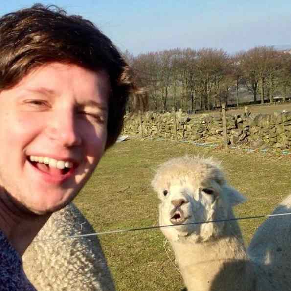foto com alpaca