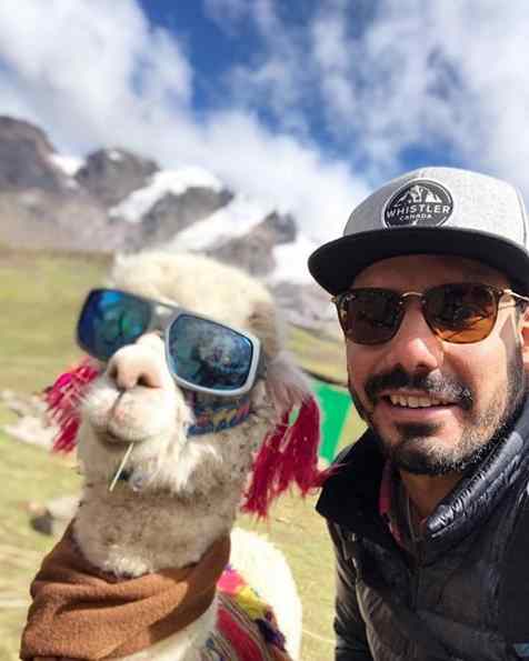 com alpaca