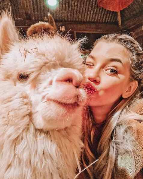 belos animais