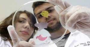 Alunos brasileiros criaram embalagem que mostra se a comida está estragada