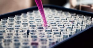 Cientistas descobriram enzima que rejuvenesce e prolonga vida de ratos