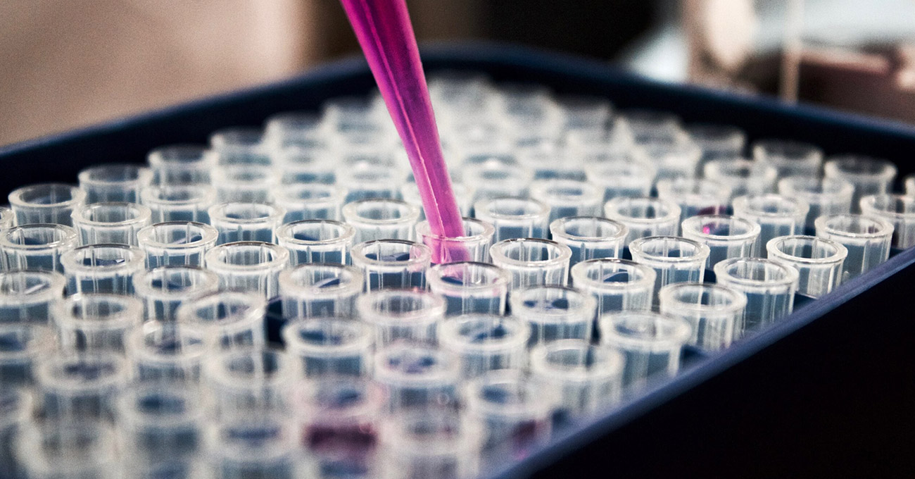 Cientistas descobriram enzima que rejuvenesce e prolonga vida de ratos