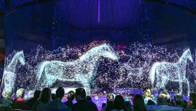 Hologramas de animais em circo