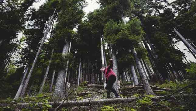 Pessoas com mais contato com o verde têm sistemas imunológicos mais fortes