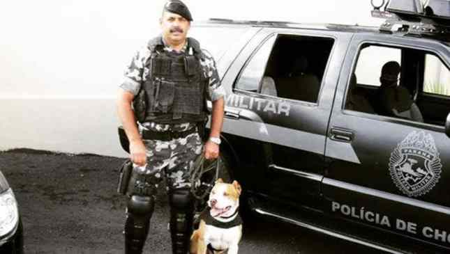 cão policial