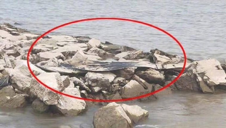 Monstro aquático foi visto em rio da China