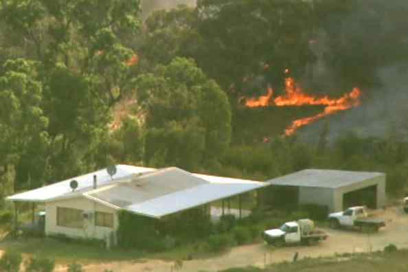 garoto salva cachorro de incêndio