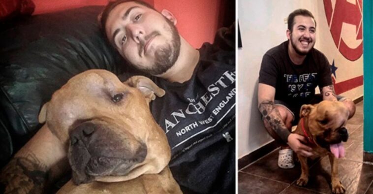 Jovem adota cão com câncer terminal para dar carinho e amor até os últimos dias