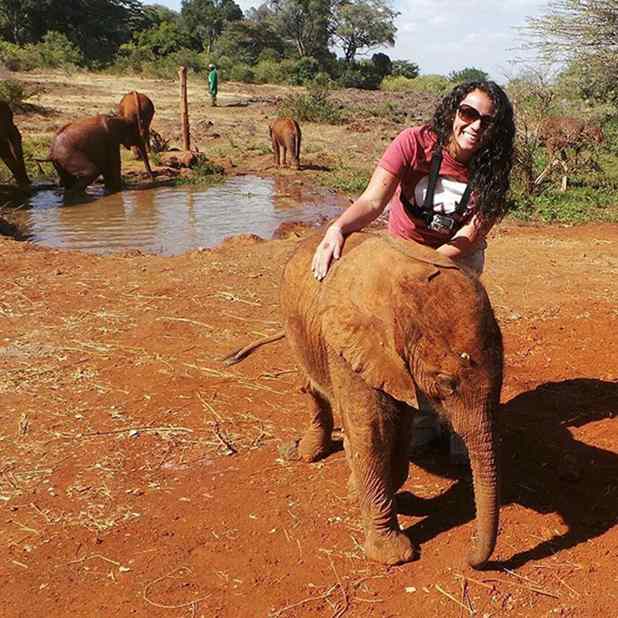 elefante e avestruz amigos