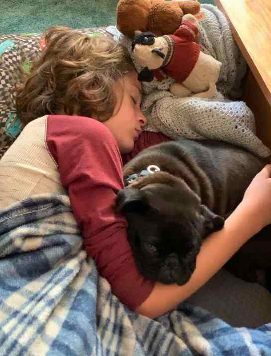 menino reencontra cachorro perdido