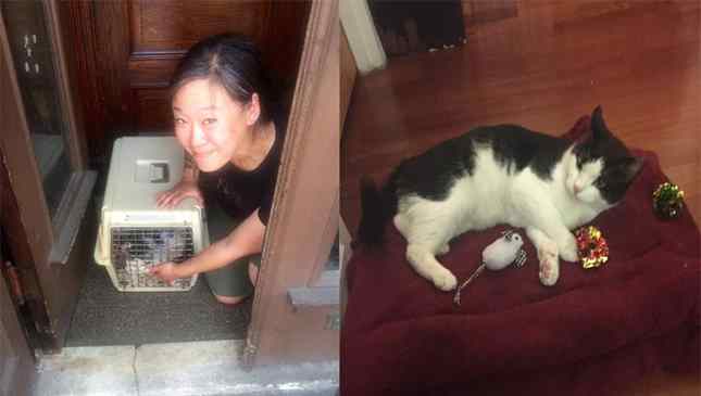 gato foi largado na sua com suas coisas