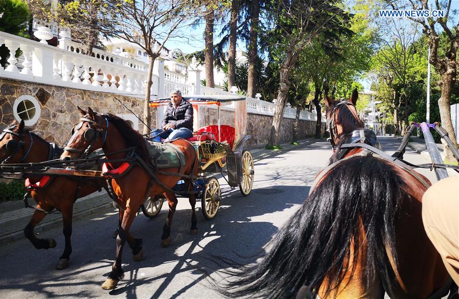 cavalos proibido em Istambul