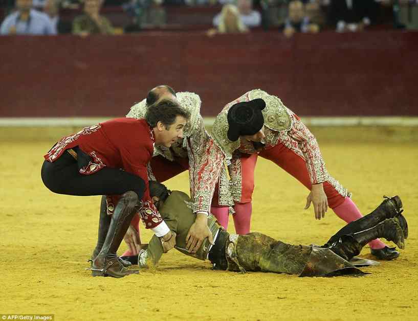 toureira foi atacada por touro