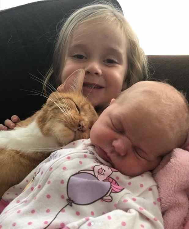 garotinha canta para gato