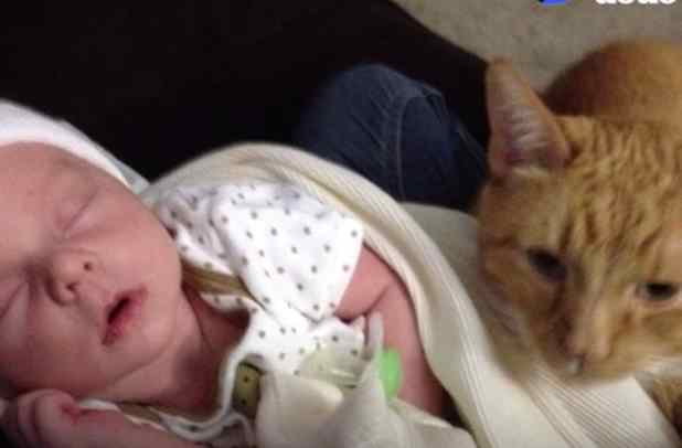 despedida entre menina e gato
