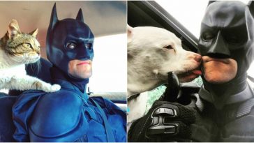 “Batman” salva animais da eutanásia e os encaminha para adoção
