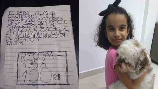 Menina de oito anos oferece dinheiro do cofrinho para quem ajudar a encontrar cãozinho desaparecido