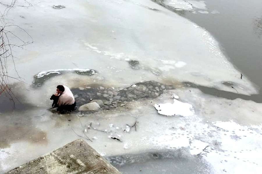 homem salvou cachorro no gelo