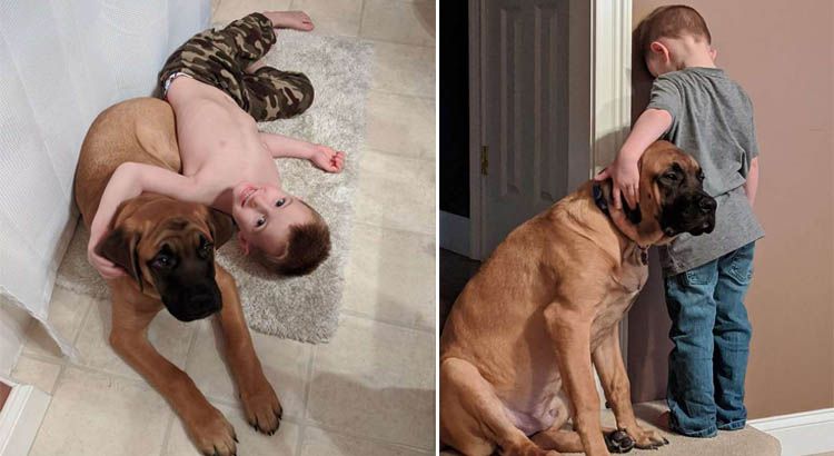 Menino é colocado de castigo e seu cão o acompanha para ele não ficar triste