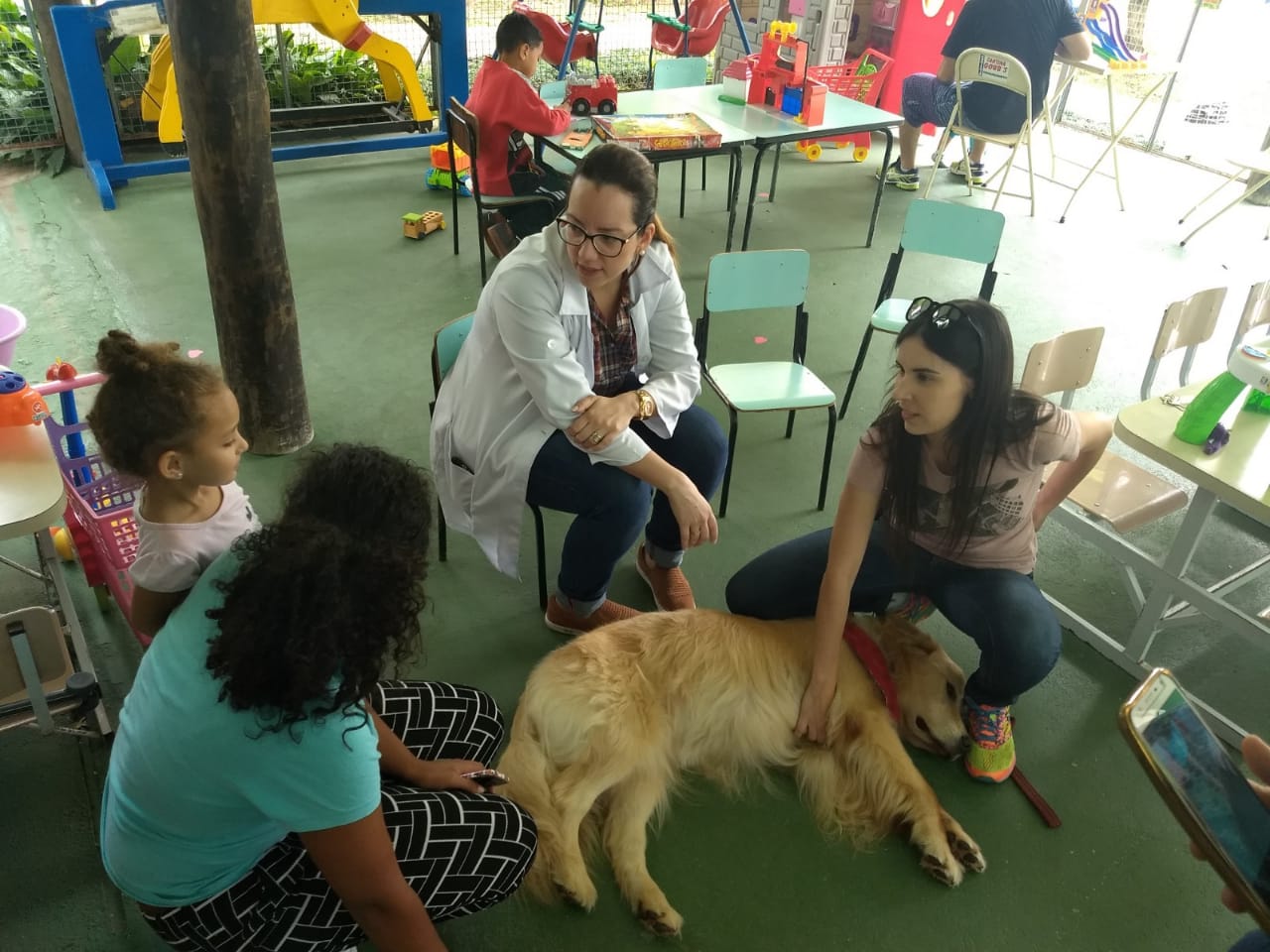 cão recebe cartinhas de crianças