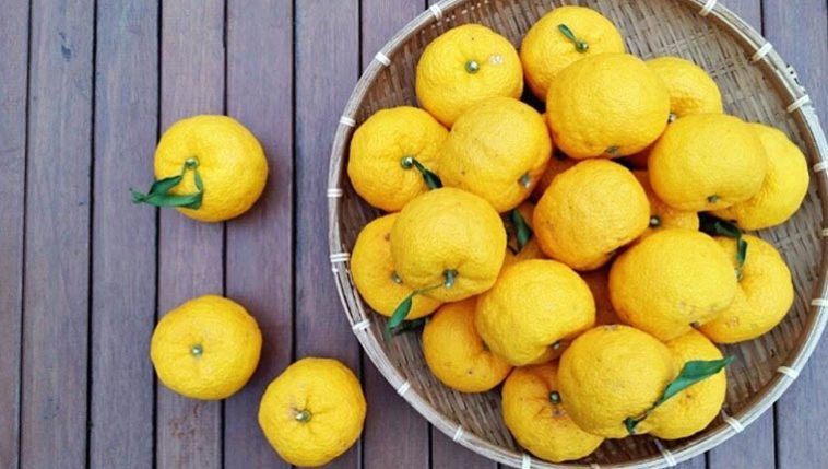 O que é yuzu? Conheça essa fruta cítrica