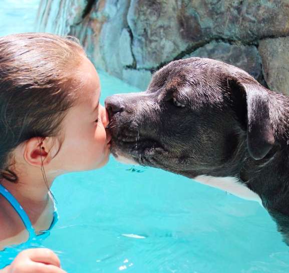 amizade entre menina e cachorro