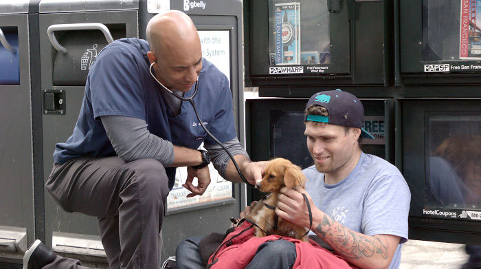veterinário cuida de graça de animais de moradores de rua