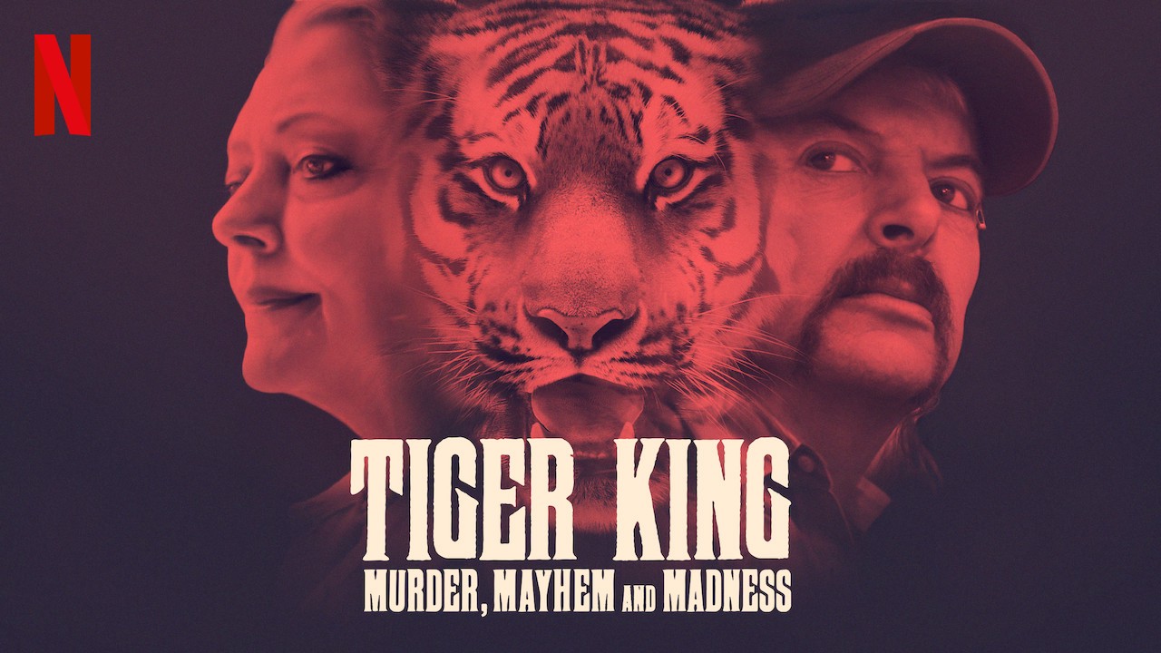 documentários da Netflix sobre tigres