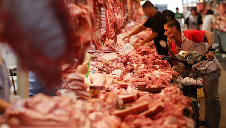 China proibiu consumo e venda de animais silvestres