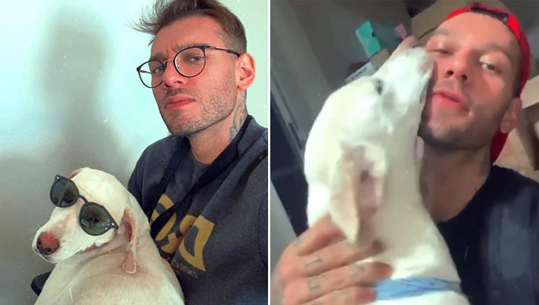 Lucas Lucco adotou cachorro abandonado na rua durante quarentena