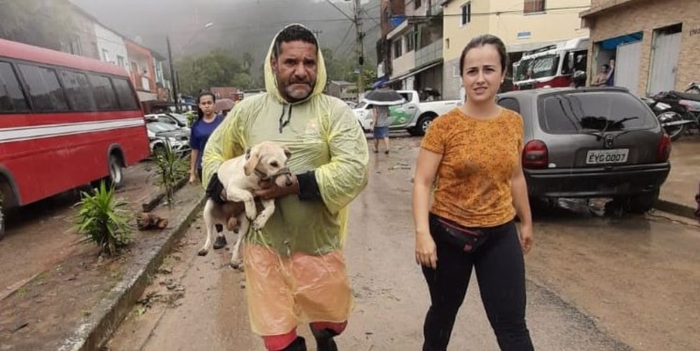 cachorro escava em busca de dono soterrado