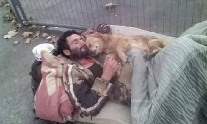 Cão dorme abraçado ao dono que vive em situação de rua para aquecê-loCão dorme abraçado ao dono que vive em situação de rua para aquecê-lo