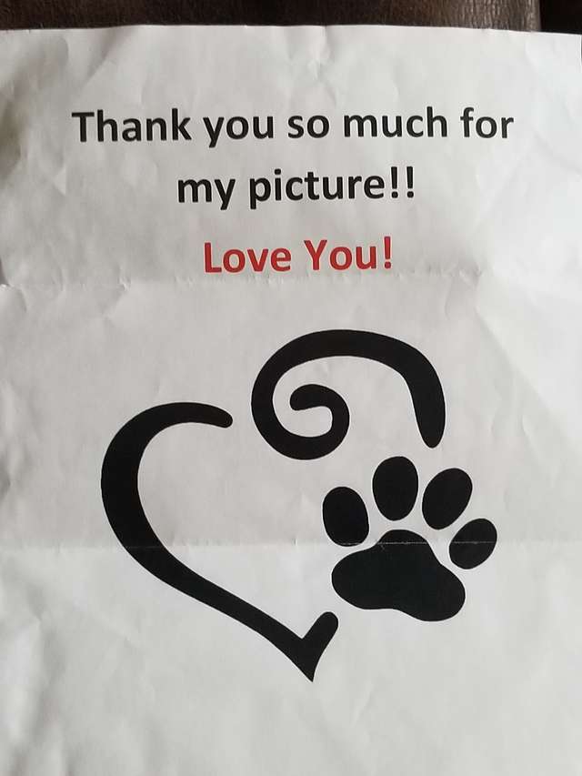 carta para cachorro no céu