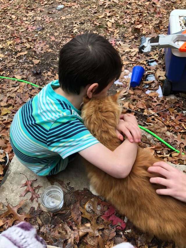 gatinho encontra lar