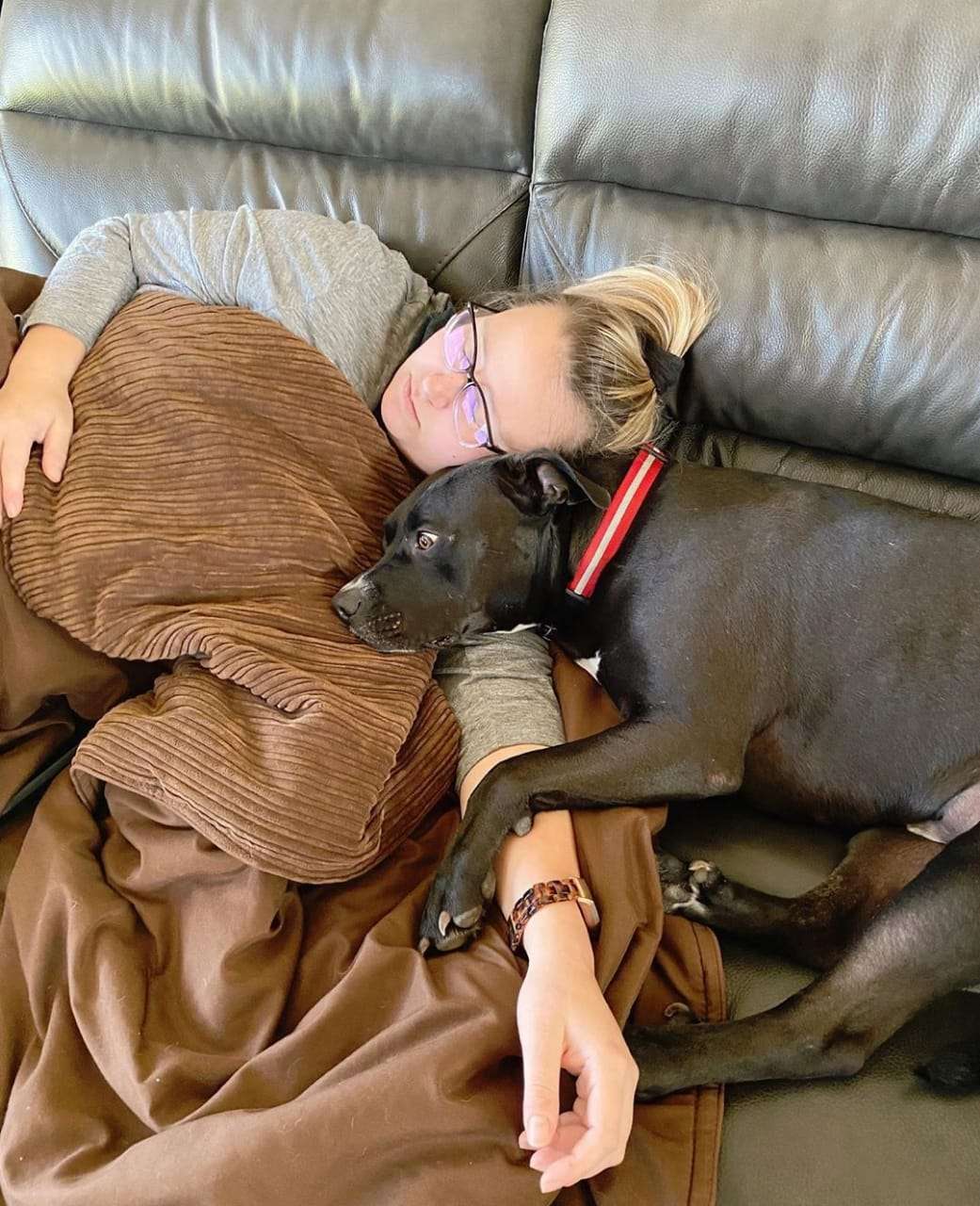 cachorro que ama gatos