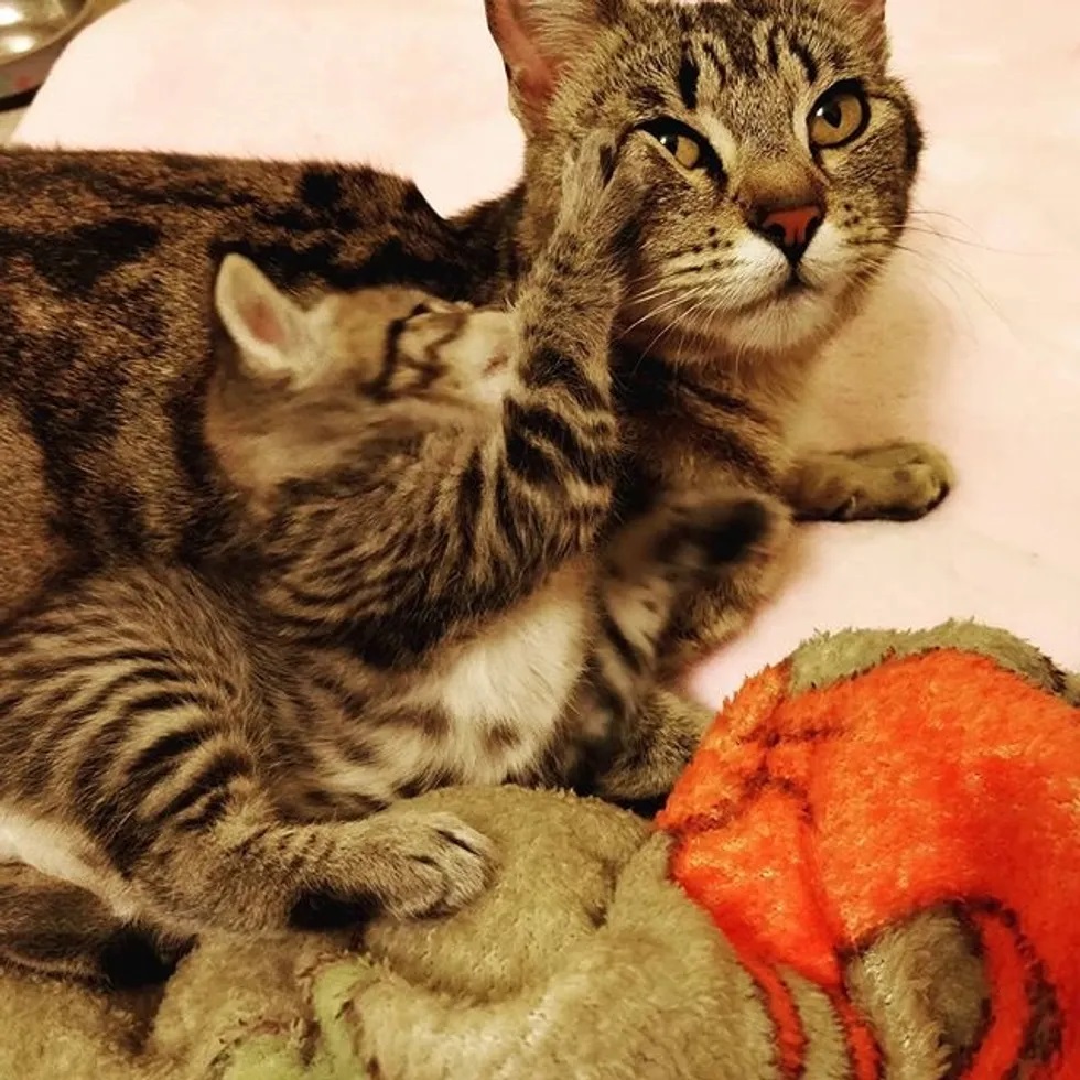 mãe e filho