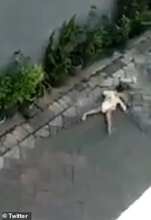 macaco de moto