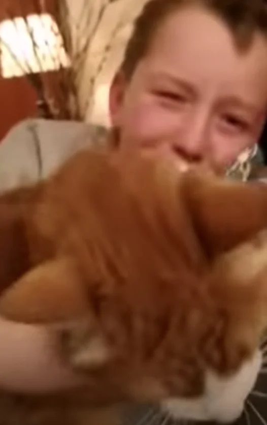 garotinho chora ao reencontrar gatinho perdido