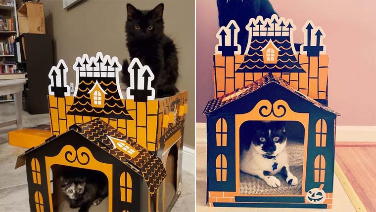 casinhas para gatinhos em formato de mansões mal-assombradas