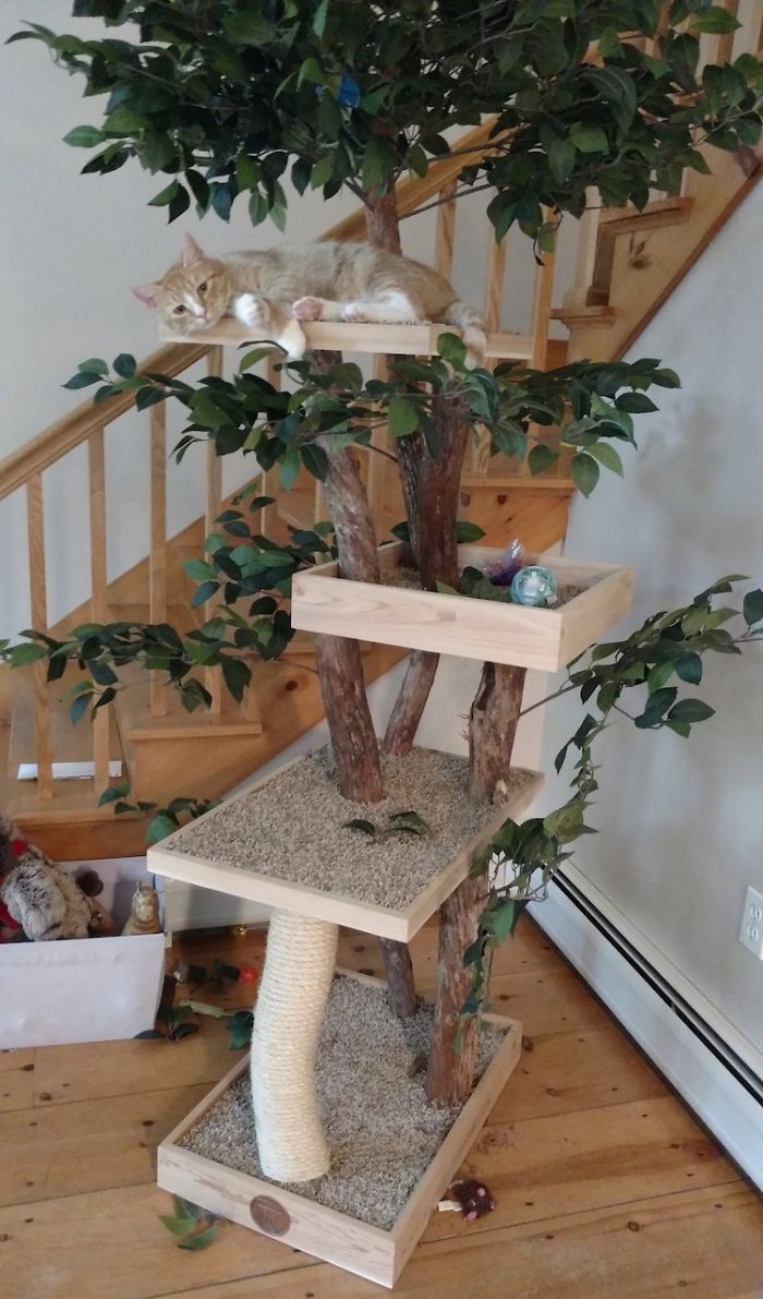 arranhadores para gatos