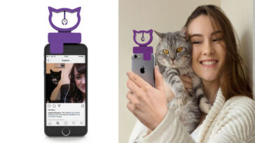 Selfies com gatinhos – dispositivo ajuda a tirar fotos perfeitas com seu bichano 