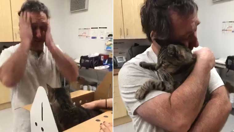 Homem chora ao reencontrar gatinho idoso