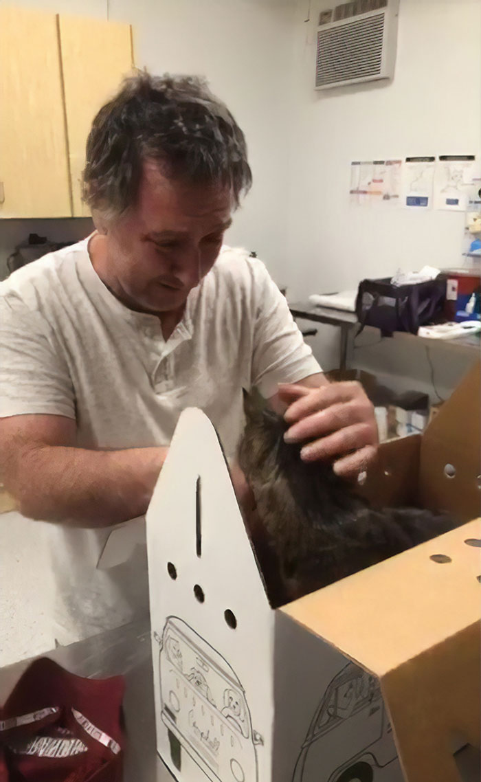 homem chora ao reencontrar gatinho
