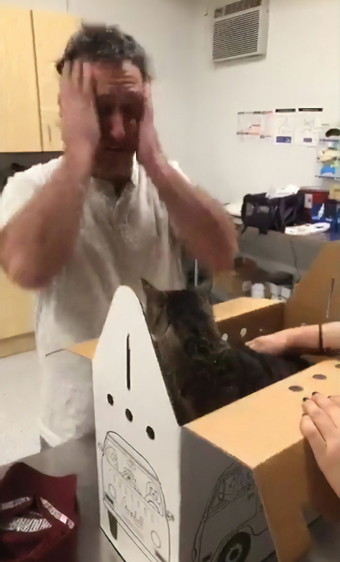 homem reencontra gato perdido