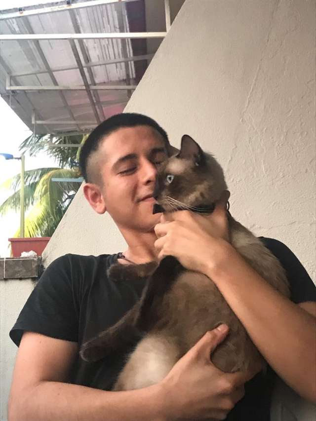 gatinho com vida dupla bilhete