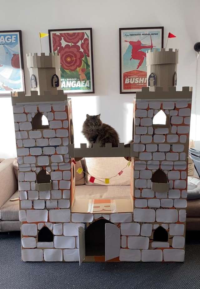 gatinha solitária