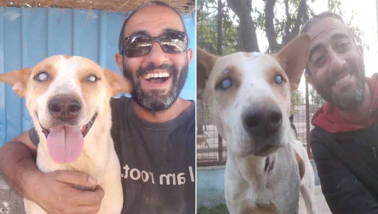 Cachorro-cego-não-contém-a-felicidade