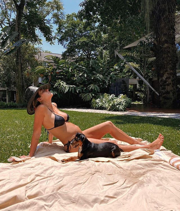 cadela destruiu sofá