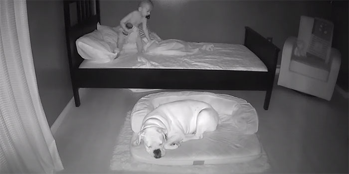 garotinho foge da cama para dormir com cachorro